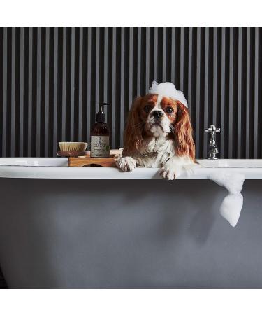 WildWash Nourishing Dog Conditioner 300ml - Shea Butter & Coconut for Hydration - Detangles Long Hair - Natural, Sulphate & Paraben-Free - Buy Online on GoSupps.com