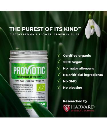 Lactobacillus Vegan Probiotic Supplement with a Patented Formula for Digestive Health Immune Support for Healthy Gut Anti Bloating for Men and Women (30 Count (Pack of 1)) - Buy Online on GoSupps.com