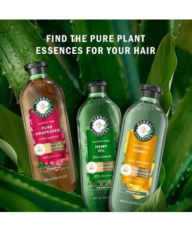 Herbal Essences Pure Plants Hemp Oil Sulfate Free Shampoo Frizz Control with Certified Camellia Oil and Aloe Vera For All Hair Types Especially Frizzy Hair 600 mL Floral and Aloe Vera 600 ml (Pack of 1) - Buy Online on GoSupps.com
