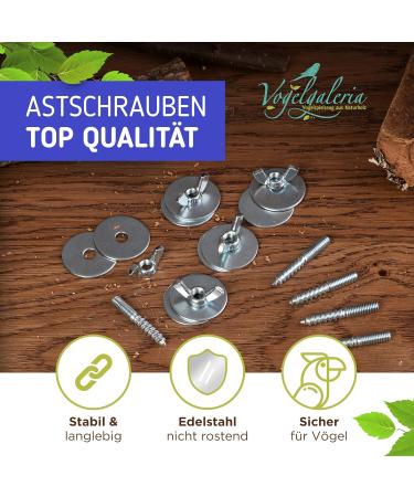 Buy Pack of 5 Stainless Steel Branch Screws for DIY Bird Toys & Perches | Secure Cage Fastening - Buy Online on GoSupps.com