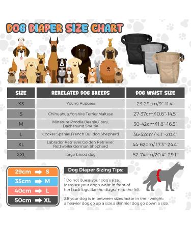 3 Pack Dog Trousers & Diapers for Bitches - Adjustable Washable Protective During Heat & Bleeding - Buy Online on GoSupps.com