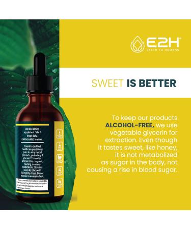 E2H Vegan Liquid Iodine - Thyroid Support and Cognitive Function - Boost Your Metabolism and Energy Levels - Vegan - Non-GMO (2 Bottles) 1 Fl Oz (Pack of 2) - Buy Online on GoSupps.com