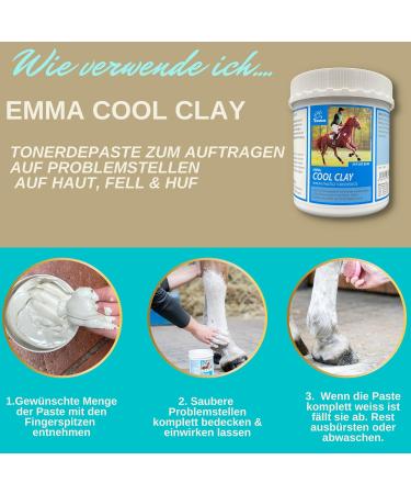 Emma Horse Clay + Cooling Gel Set I Horse Balm + Arnica I Normal Acetic Acid Clay + No Doping I Clay Paste I Healing Mud Cooling Paste Muscle Tendon 2 x 1.5 kg 500 ml - Buy Online on GoSupps.com
