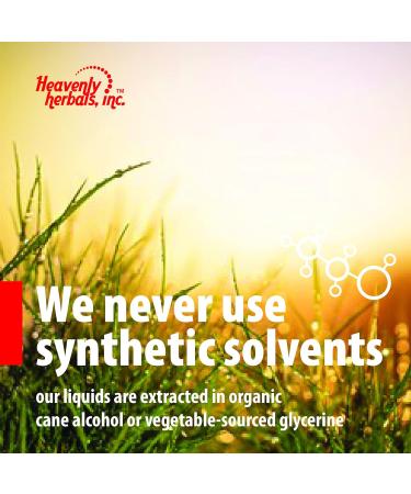 Syzygium Jambolanum Q - Homeopathic Mother Tincture | Natural Remedy | 2.0 Fl Oz | Made in USA - Shop Internationally - Buy Online on GoSupps.com