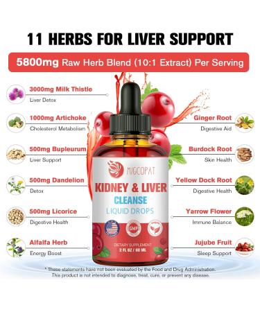 Kidney and Liver Cleanse Detox & Repair Drops Cranberry and Milk Thistle Supplement with Artichoke Astragalus Horsetail Natural Herbal for Liver Kidney Urinary Tract Bladder 60ml 2 Fl Oz (Pack of 1) - Buy Online on GoSupps.com