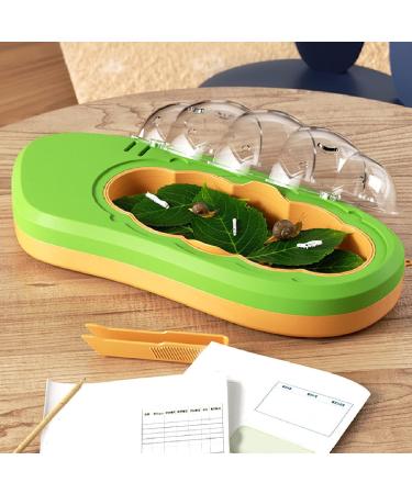 Observation Box Baby Silkworm Shape Silkworm Rearing Bucket Mesh Hole Design Multifunctional Educational for Reptiles (Green) - Buy Online on GoSupps.com
