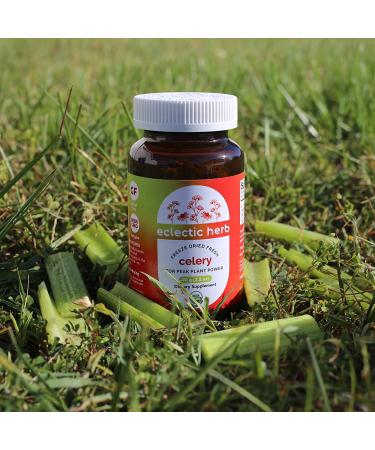 Eclectic Institute Raw Freeze-Dried Celery Powder 3.2 oz - Whole Food Supplement - Buy Online on GoSupps.com