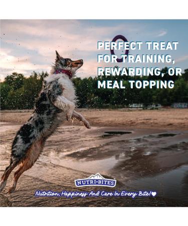 NutriBites Freeze Dried Whitefish Dog & Cat Treats | Healthy Pet Training Treats or Food Topper | All Natural 1 Single Animal Protein High Protein | Premium Bulk Value Pack 18.3 oz 520g White Fish 1 count (Pack of 1) - Buy Online on GoSupps.com