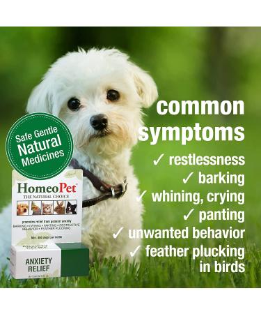 HomeoPet Anxiety Relief 15 ml | Natural Pet Calming Solution - Buy Online on GoSupps.com