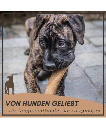 Supravit Natural Coffee Wood Chewing Bones for XS Puppies | Long-Lasting Play & Excitement | Caustab Puppy Chew Toys - Buy Online on GoSupps.com