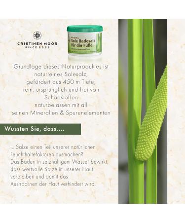 Cristinenmoor 500g Biological Sole Swimming Salt - 100% Natural Foot Care for Dryness Sweating & Odor | ICADA Certified - Buy Online on GoSupps.com