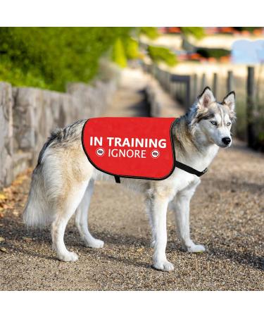 Buy Hollp Training Dog Jacket Vest - In Training Ignore Dog Walk Jacket | Large Size - Buy Online on GoSupps.com