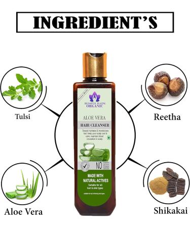 Blessfull Healing Organic Aloe Vera Hair Cleanser | Shampoo 100 ML (Packing May Vary) - Buy Online on GoSupps.com