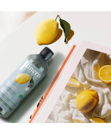  sarcia.eu ITINERA Shampoo for oily hair with lemon from the Amalfi Coast 370 ml pack of 4 - Buy Online on GoSupps.com