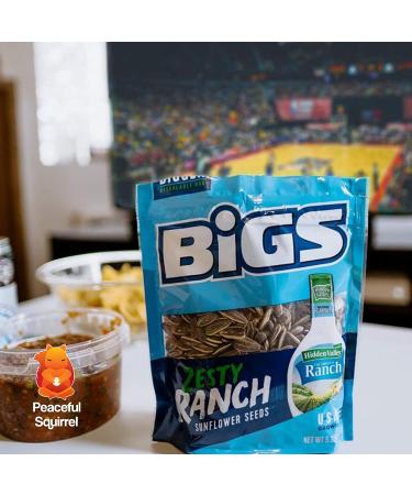 Peaceful Squirrel Variety BIGS Sunflower Seeds Sampler Pack - 13 Flavors, Keto Friendly On-The-Go Snack - 5.35oz - Buy Online on GoSupps.com