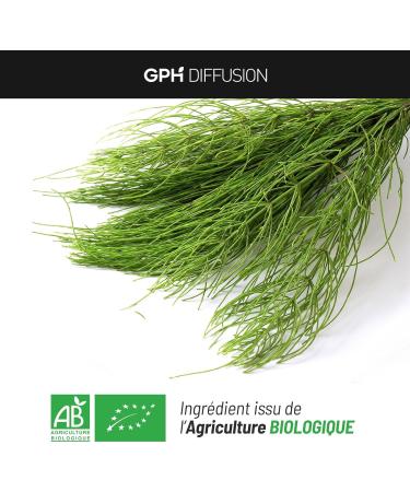 Horsetail Bio AB - 190mg - 200 vegetable capsules - Buy Online on GoSupps.com