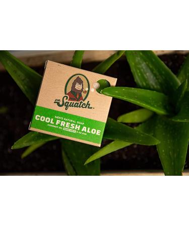 Dr. Squatch Natural Bar Soap for Men - 3 Pack Variety: Coconut Castaway, Fresh Falls & Cool Fresh Aloe - Buy Online on GoSupps.com
