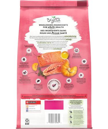 Beyond Superfood Blend Natural Dry Dog Food Wild Caught Salmon Egg & Pumpkin - 1.67 kg Bag 1.67 kg (Pack of 1) Dog Food - Buy Online on GoSupps.com