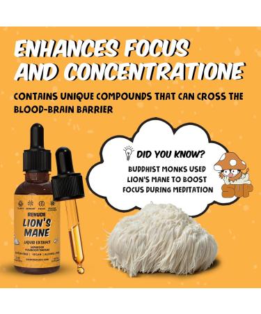 Renude Lion's Mane Liquid Extract - Mushroom Tincture Lions Mane Drops Supplement for Brain & Immune Support Promotes Focus & Memory Superfood Elixir for Men & Women Alcohol Free Vegan - 2 oz - Buy Online on GoSupps.com