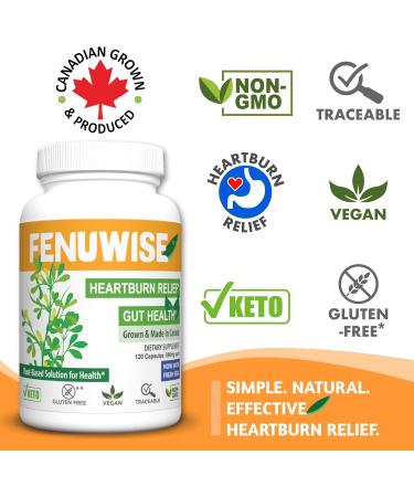 FenFiber Natural Fenugreek Fiber Capsule Supplement for Acid Relief - Premium Vegan Dietary Supplement Supporting Digestive Health 120 Count - Buy Online on GoSupps.com