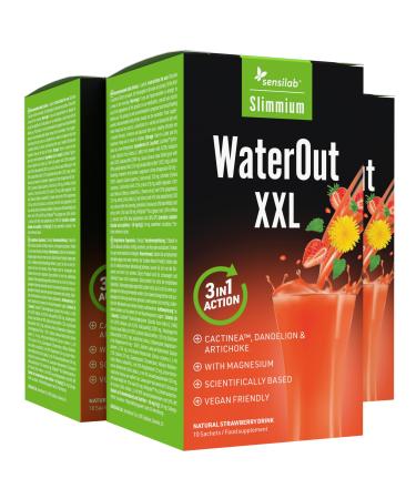 Draineur WaterOut XXL - Magnesium, parsley, nettle, dandelion, artichoke - Detox - Draining and diuretic drink - 30 sachets