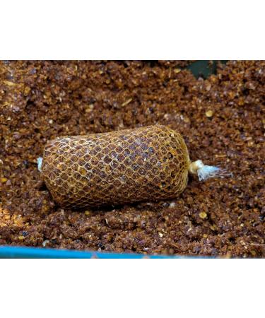 Tandem Baits Carp Food Natural Liquid 1000ml Chile - Buy Online on GoSupps.com