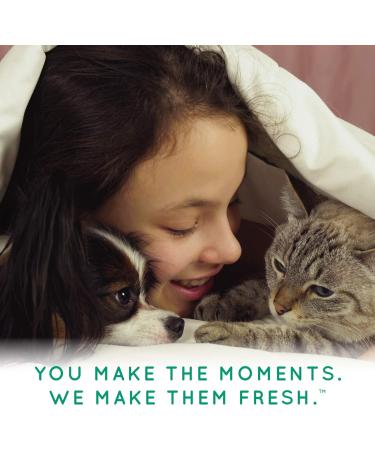 TropiClean Lime & Cocoa Butter Conditioner - Moistruizing Pet Care | International Shipping Available - Buy Online on GoSupps.com