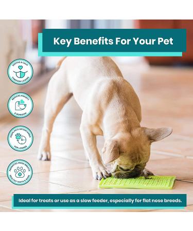 Lickimat Classic Dog Slow Feeder | Boredom & Anxiety Reduction | Perfect for Treats & Peanut Butter | Fun Alternative to Slow Feed Bowl | Green & Turquoise - Buy Online on GoSupps.com