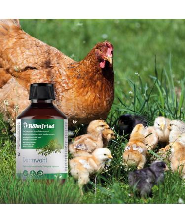 R hnfried Darmwohl - Enhance Digestion for Rabbits Rodents & Small Animals (250 ml) - International Shipping Available - Buy Online on GoSupps.com