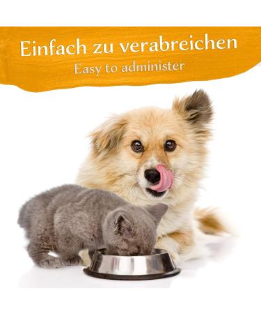 Belisy Itching Bach Flowers for Dogs & Cats - Natural Skin Care & Fur Care - Non-Alcoholic Emergency Remedy - 10g - Buy Online on GoSupps.com