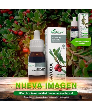 Soria Natural Bearberry Extract natural antiseptic urinary tract promotes urinary tract health and diuretic action 100 pure blister health 50 ml bottle - Buy Online on GoSupps.com