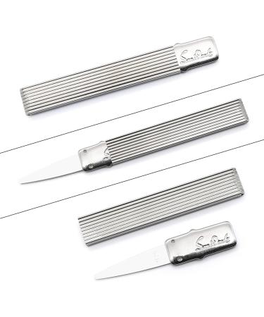Sanident Reusable Toothpick with Flexible 925 Silver Tip - Pocket-Sized Dental Tool - Buy Online on GoSupps.com