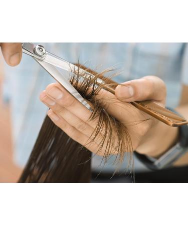 Professional 4pc Barber Scissors and Hair Comb Set for Hairdressing - Salon Quality Hair Cutting, Thinning, and Texturizing Tools for Home and Salon Use - Buy Online on GoSupps.com