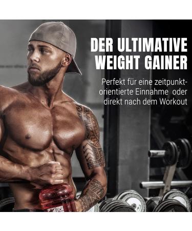 Powerstar Hardgain Mass 3600G | Sugar-Free Weight Gainer with Creatine | Fast Muscle Building & Strength | German Quality | Chocolate-Nut Flavor | 3.6 kg Pack - Buy Online on GoSupps.com