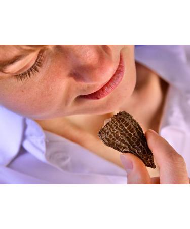 Morel Mushrooms Popular Choice CAPS (2-6 cm) - no Tails - Hand Picked Sun-Dried (30 gr) 30.0 grams - Buy Online on GoSupps.com