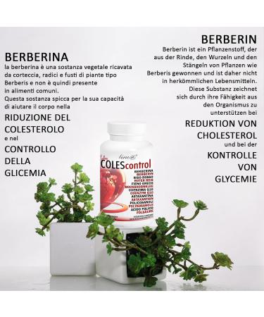 Colescontrol Line Dietary Supplements - Berber Red Rice Bockshornklee Coenzyme Q10 Astaxanthin Policosanols & Folic Acid | 60 Tablets | 2-Month Supply - Shop Now! - Buy Online on GoSupps.com