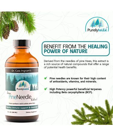 PURELY WILD Raw Pine Needle Extract by Dr Cass Ingram Whole Food Liquid Supplement with Pine & Spruce Extracts, Oregano Oil & Apple Cider Vinegar Wild-Harvested Formula 8 fl oz - Buy Online on GoSupps.com