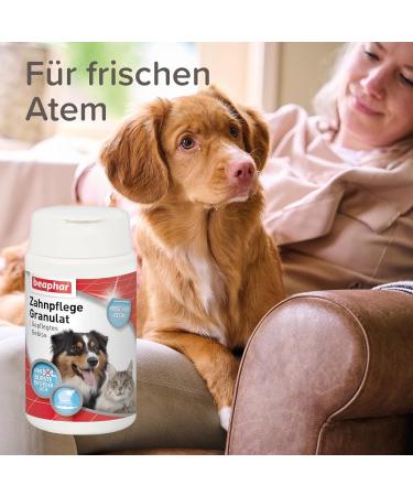 Beaphar Sea Algae Powder for Dogs & Cats - 100% Natural Dental Care - Fresh Breath & Muzzle Hygiene - 75g - Buy Online on GoSupps.com