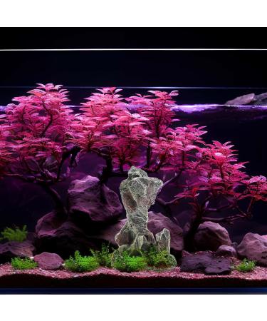 Ctpeng Aquarium Hole Decor - Art Deco Style for Stunning Aquascapes | International Shipping Available - Buy Online on GoSupps.com