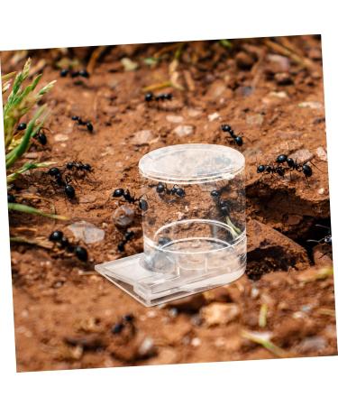 GRIRIW Pet Water Feeder Ant Water Feeders Ant Waterer Cup Water Feeding Cup for Ant Nest Clear Ants Feeder Ant Keeper Tools Ant Feeding Cup Ant Watering Cup Ant Keeping Ant Bottle Feeder - Buy Online on GoSupps.com