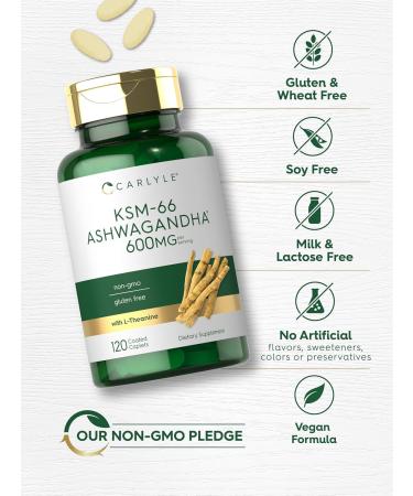 Carlyle KSM-66 Ashwagandha 600mg | 120 Caplets | Extract Supplement with L-Theanine | Vegan Non-GMO Gluten Free 120 Count (Pack of 1) - Buy Online on GoSupps.com