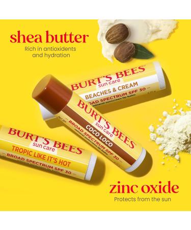 Burt's Bees SPF 30 Lip Balm Island Getaway 3-Pack 0.15 oz & Vanilla Bean Lip Balm 2-Pack 0.15 oz - Buy Online on GoSupps.com