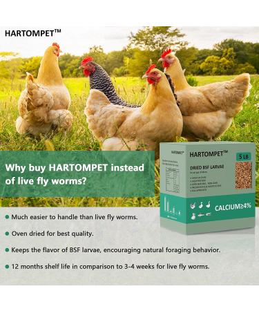 HARTOMPET Dried Black Soldier Fly Larvae - 5lbs & 10lbs - Meal Worms for Chickens & Birds - Poultry Feed Molting Supplement - Oven Dried BSF Larvae 5lb Pack - Buy Online on GoSupps.com