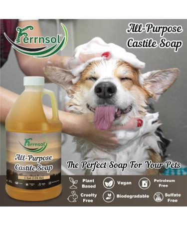 AP Castile Soap Liquid (1 Gallon) Unscented Fragrance-Free Refill Natural All-Purpose Soap for Home Hands and More Gentle Non-Toxic formula 128oz - Made in USA 128 Fl Oz (Pack of 1) - Buy Online on GoSupps.com