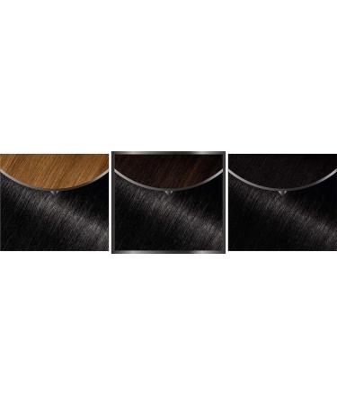  Garnier Garnier Olia Permanent Hair Dye Ammonia-Free Natural Flower Oils Diamond Black (2.0) - Buy Online on GoSupps.com