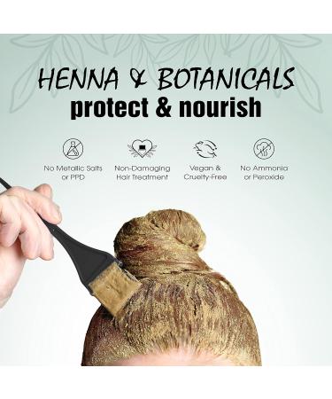 Light Mountain Light Brown Hair Dye - Organic Henna for Men & Women | Chemical-Free Semi-Permanent Color 16 Oz - Buy Online on GoSupps.com