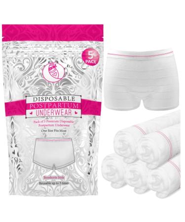 Ninja Mama Disposable Postpartum Underwear (Without Pad) With Storage Pouch. Washable Mesh Panties for Women (5 Count). Labour and Delivery Maternity Surgical and C Section Hospital Bag - One Size