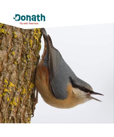 Donath Energie Mix - Premium Wild Bird Feed | High-Quality Insect Fat | 1 kg | Balanced Nutrition from Southern Germany - Buy Online on GoSupps.com