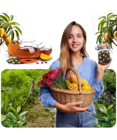 Aromantra x Mary Rose Th du Zodiaque pour le Cancer 50g M lange Apaisant avec Th Noir Yunnan Mangue M lisse & Huile d Orange Naturelle - Buy Online on GoSupps.com