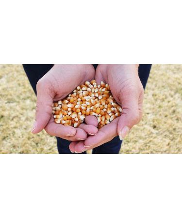 Preferred Popcorn Organic Popcorn 28oz - Pack of 4 | Healthy Snack Option - Buy Online on GoSupps.com